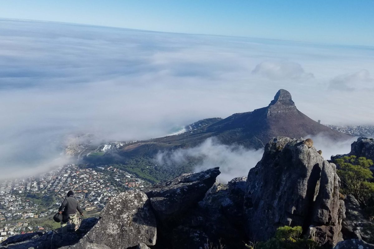 lions head